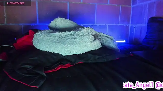 Czat XXX na żywo – Cata-angel