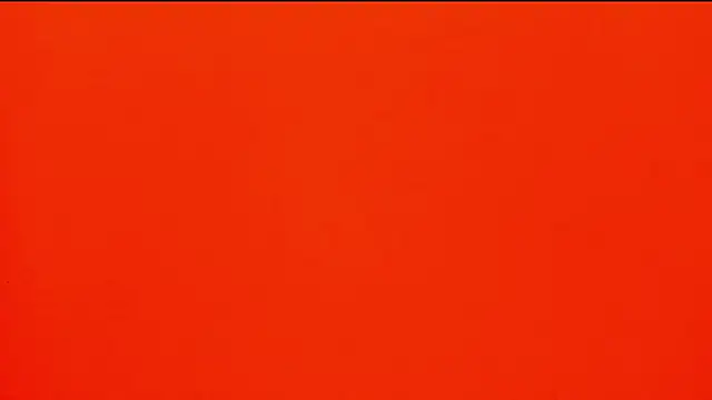 michdan1's Live XXX Chat