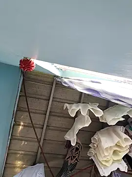 naughtiestmumknky99 라이브 XXX 채팅