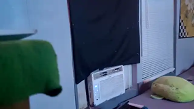 LordSpunFun Webcam Show