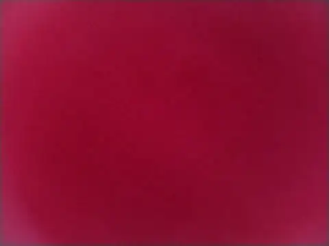 bigdoog8 élő XXX-chatje