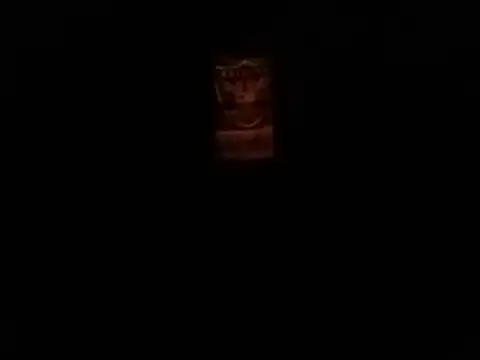 Blkstylion: διαδικτυακό σόου στην κάμερα