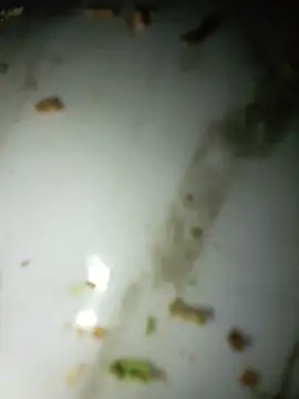 EzE369mgm's Webcam Show