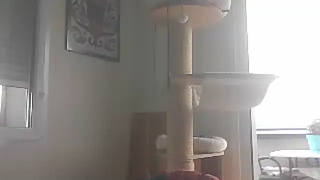Živý XXX chat sexy007sexy