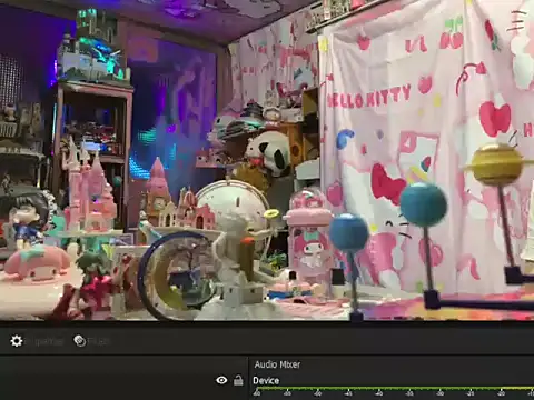 JesuAdamn Webbikameraesitys