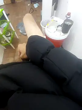 Show Webcam de UYSIE