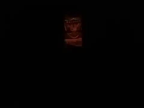 Show webcam de Blkstylion