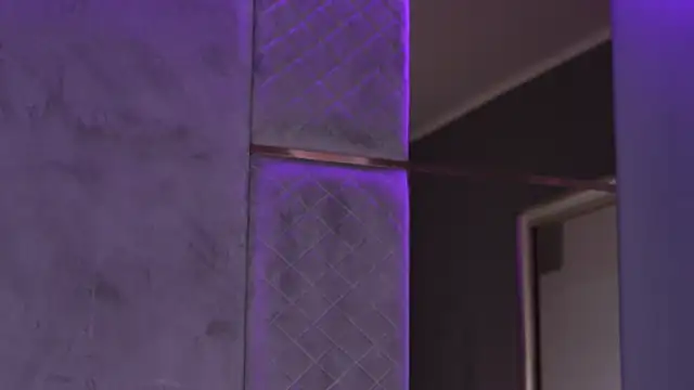 SelenaFrost 现场XXX聊天