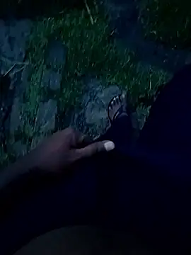 dolphiinn 现场XXX聊天