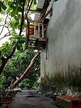 Tequilamaster élő XXX-chatje