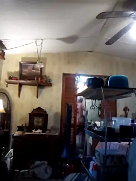 fischnet Show in webcam