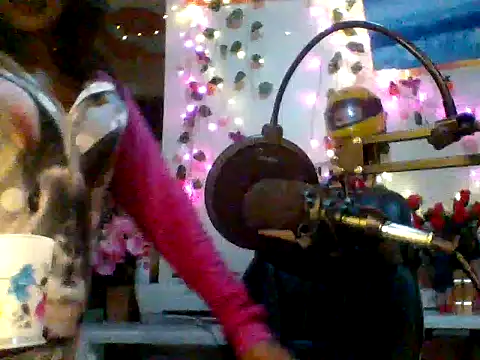 Chat +18 de Anaconda2350 ao vivo