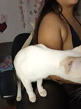 Chat +18 de Kuutar ao vivo