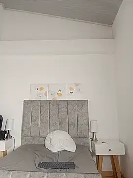 Dante_Knoxn Webbikameraesitys