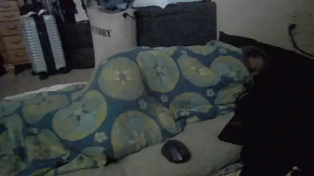 TWiSTYTheTwizted's Live XXX Chat