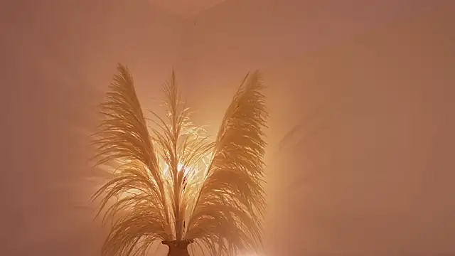 Chat +18 de soidai_miiu ao vivo