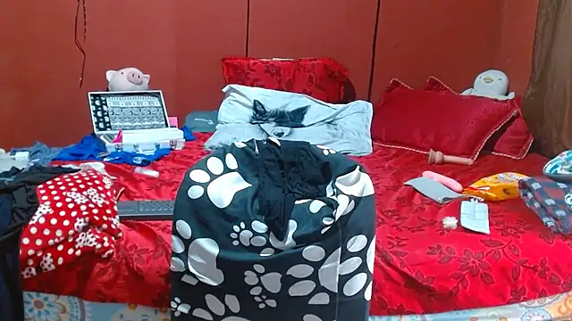 Chat +18 de Sasharosee2 ao vivo