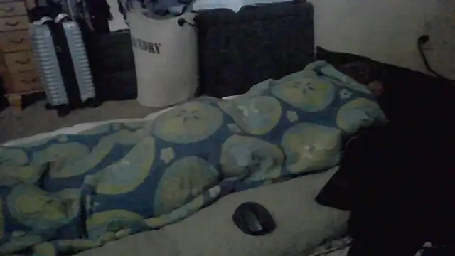 TWiSTYTheTwizted's Live XXX Chat