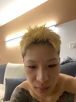 diandian88 网络视讯表演