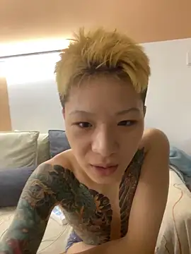 diandian88 网络视讯表演