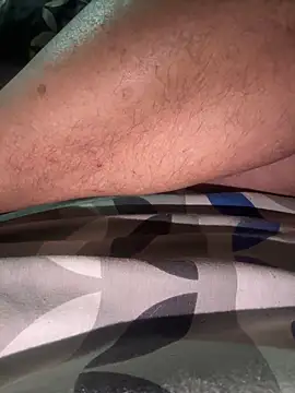 Show webcam de ausbod