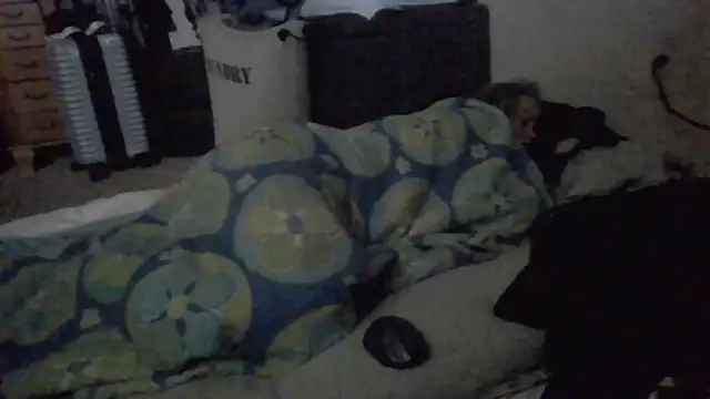 Chat XXX Live TWiSTYTheTwizted