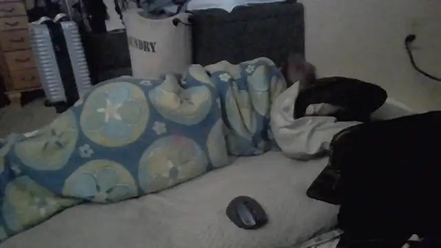 Chatroom XXX en direct de TWiSTYTheTwizted