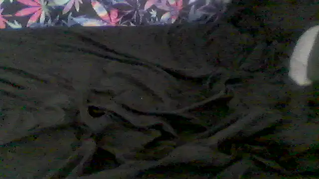 Chat XXX ao vivo de libraxxxstudios