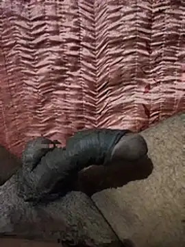 Webkamerová show ashleywellkosxxx