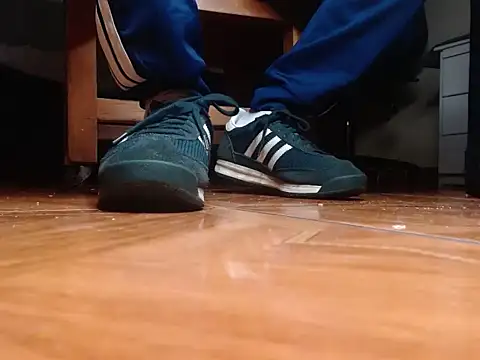 عرض كام alphaswitchard