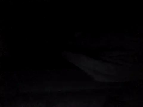 perlados – Naživo XXX chat