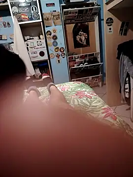 BarringHandling Webcam show