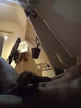 Tholel420n Webbikameraesitys