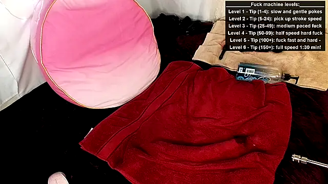 צ'אט XXX בשידור חי של GamerGirlRoxyAndLee