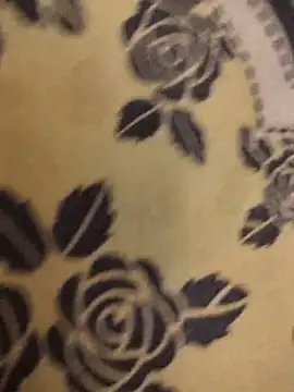 AnkyVish Adlı Modelin Canlı XXX Sohbeti