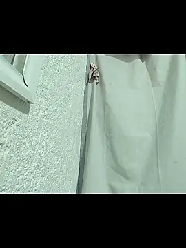Mancho2289 Live XXX-chat