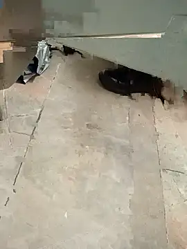 Damiianm webkamerás műsora