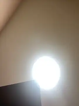 Michelle_ec Obrolan Langsung XXX