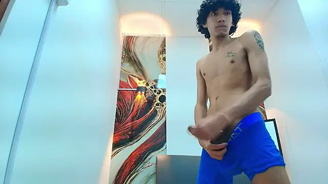Show webcam de simondwayne