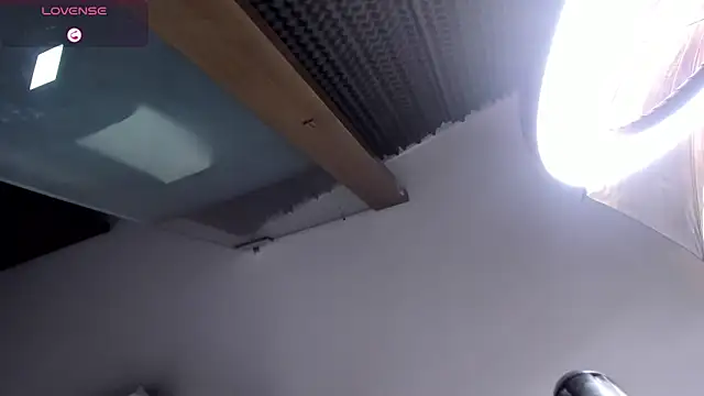 Bella_ev Adlı Modelin Canlı XXX Sohbeti