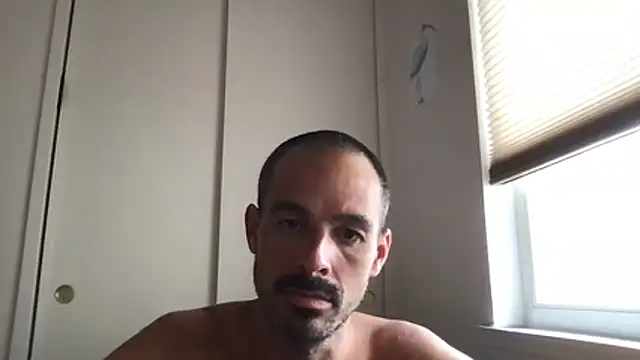 Chat +18 de codyross ao vivo