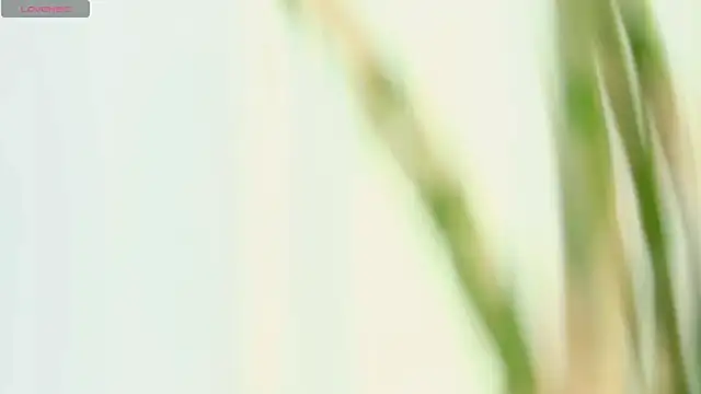 Czat XXX na żywo – xiaosu22