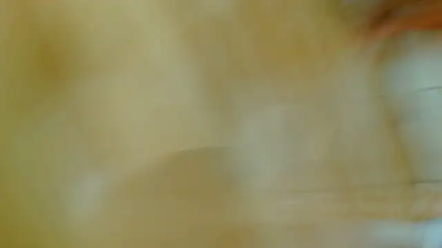 Chat XXX ao vivo de big--boss