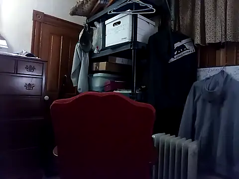 Show Webcam de playnparty88