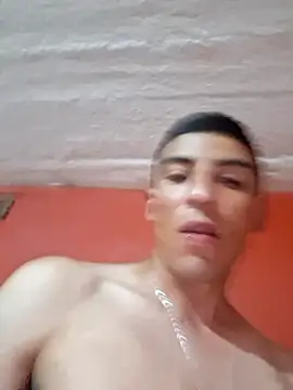 Show modela Mesobaslamacana na web-kameri