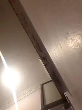 kingEgyptianRr Webcam Show