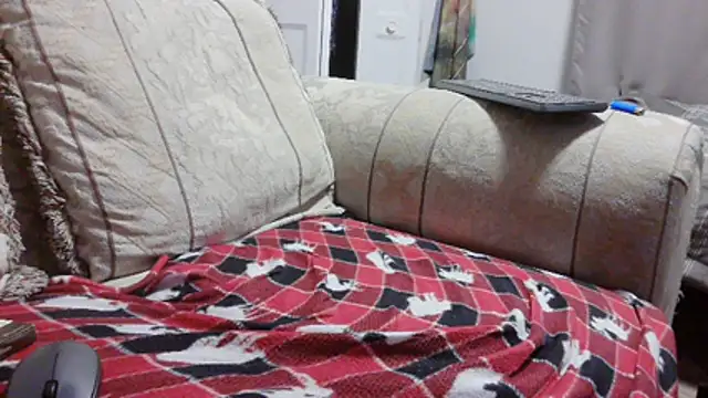 Chat +18 de willywet ao vivo