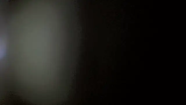 Leggs4Un Webbikameraesitys