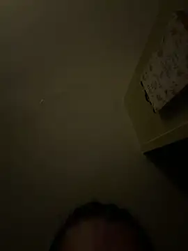 Jay2brickedd Webcam Show