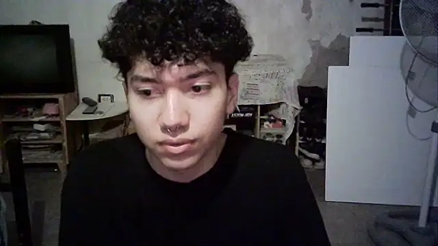 Show Webcam de Emv2